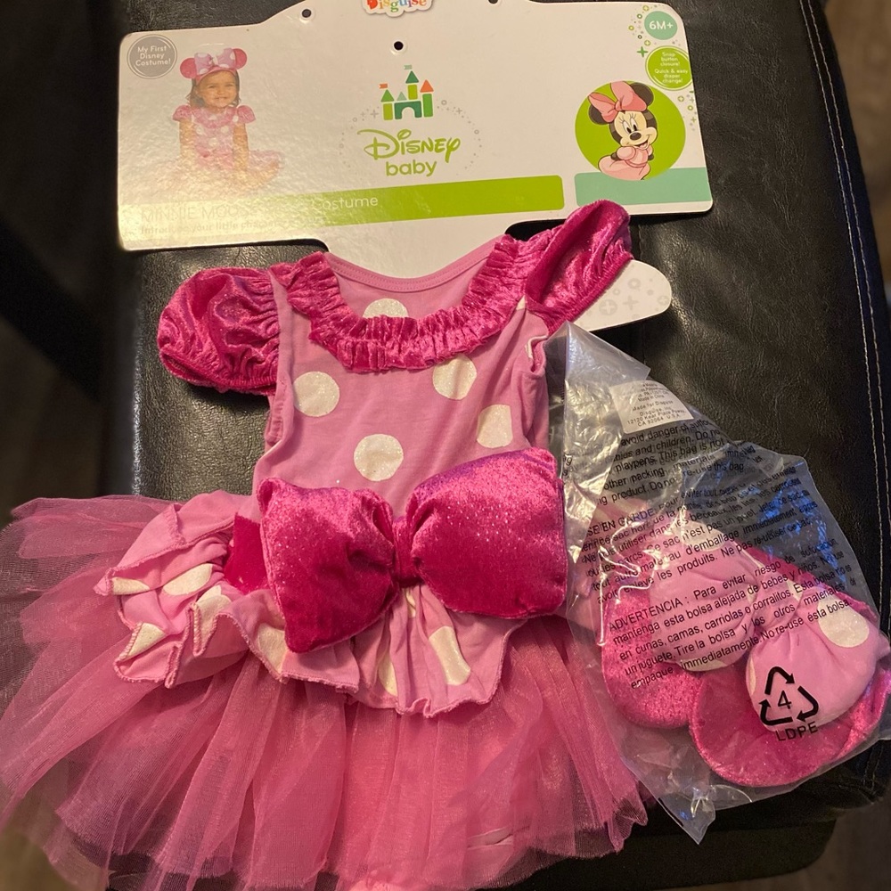 Minnie Mouse Costume